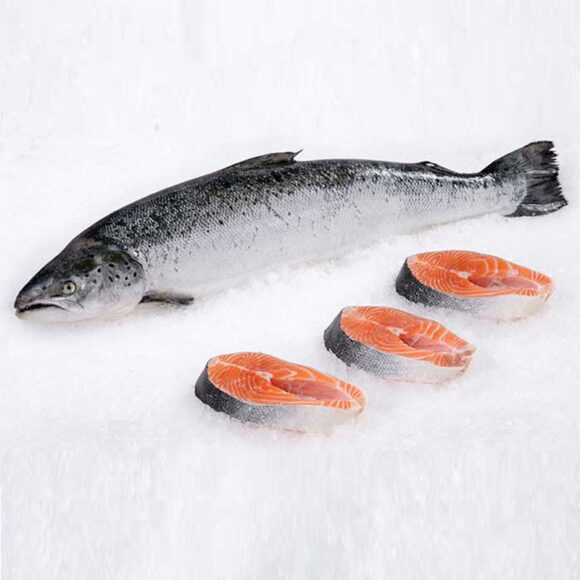 Norwegian Salmon Fish - Image 4